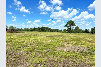 000 County Road 203, Liverpool, TX 77577 - Photo 13