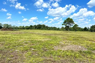 000 County Road 203, Liverpool, TX 77577 - Photo 13