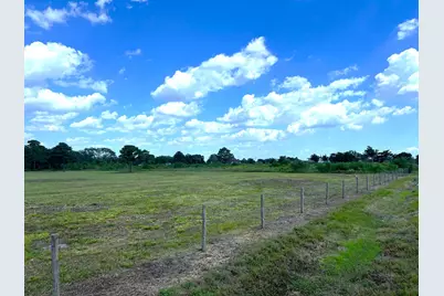 000 County Road 203, Liverpool, TX 77577 - Photo 5