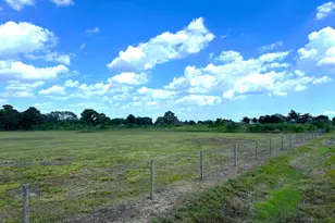 000 County Road 203, Liverpool, TX 77577 - Photo 5