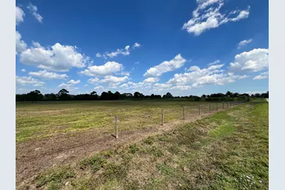 000 County Road 203, Liverpool, TX 77577 - Photo 15