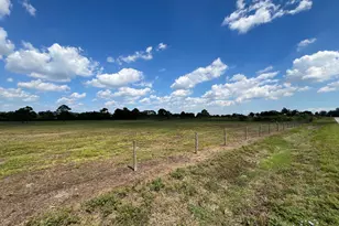 000 County Road 203, Liverpool, TX 77577 - Photo 15