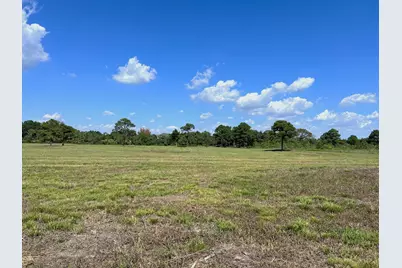 000 County Road 203, Liverpool, TX 77577 - Photo 7