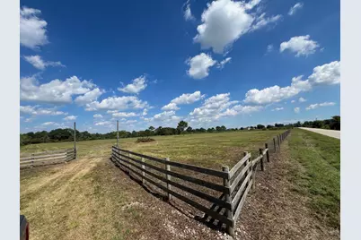 000 County Road 203, Liverpool, TX 77577 - Photo 3
