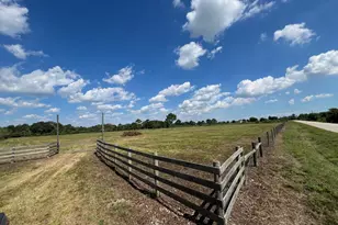 000 County Road 203, Liverpool, TX 77577 - Photo 3