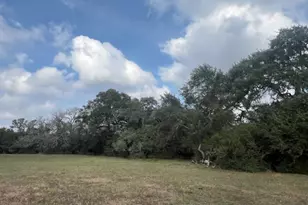 Tbd 20 Acres Cat Spring Rd, Cat Spring, TX 78933 - Photo 3