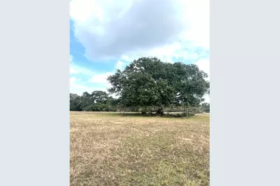 Tbd 20 Acres Cat Spring Road, Cat Spring, TX 78933 - Photo 5