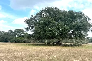 Tbd 20 Acres Cat Spring Rd, Cat Spring, TX 78933 - Photo 5