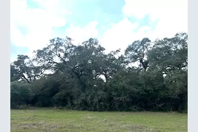 Tbd 20 Acres Cat Spring Road, Cat Spring, TX 78933 - Photo 21