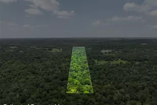 18645 Pickens Rd, Washington, TX 77880 - Photo 9