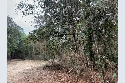 T-3 Highway 190, Newton, TX 75966 - Photo 11