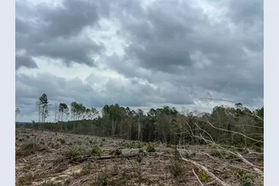 T-3 Highway 190, Newton, TX 75966 - Photo 17