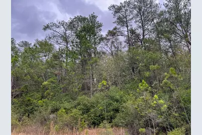 T-3 Highway 190, Newton, TX 75966 - Photo 7