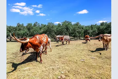 2874 Elder Hill Road, Driftwood, TX 78619 - Photo 39