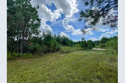 T-22A State Highway 94, Groveton, TX 75845 - Photo 5