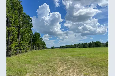 T-22A State Highway 94, Groveton, TX 75845 - Photo 1