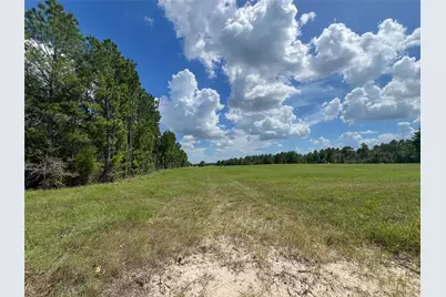 T-22A State Highway 94, Groveton, TX 75845 - Photo 3