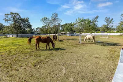 706 Saddle Creek Farms Drive, Crosby, TX 77532 - Photo 45