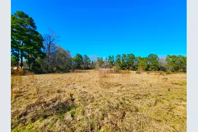 19320 Willaby Road, New Caney, TX 77357 - Photo 7