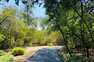 8931 Briar Forest Dr, Houston, TX 77024 - Photo 43