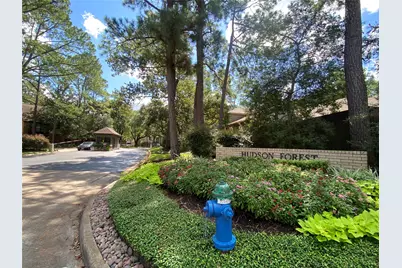 8931 Briar Forest Drive, Houston, TX 77024 - Photo 43