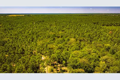 Tbd E Lakeview Drive, Trinity, TX 75862 - Photo 15