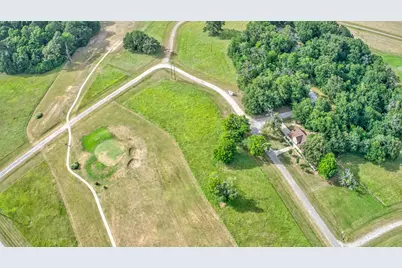 Tbd Williamsburg Lot 10 Street, Trinity, TX 75862 - Photo 5