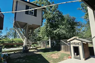 137 Wild Oak Rd, Shepherd, TX 77371 - Photo 15