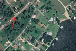 Lot 3 Fm 980 S, Point Blank, TX 77364 - Photo 1