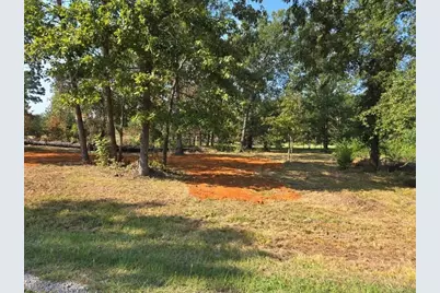 Lot 3 Fm 980 S, Point Blank, TX 77364 - Photo 7
