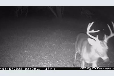 98 County Road 4019A, Dayton, TX 77535 - Photo 25