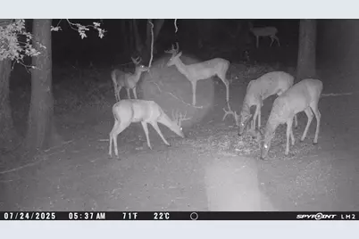 98 County Road 4019A, Dayton, TX 77535 - Photo 23