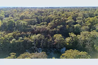 98 County Road 4019A, Dayton, TX 77535 - Photo 13