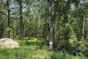 19959 Old Hwy 105, Cleveland, TX 77328 - Photo 3