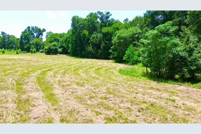 7365 Fm 2022 N, Grapeland, TX 75844 - Photo 13