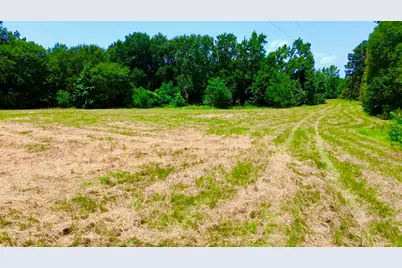 7365 Fm 2022 N, Grapeland, TX 75844 - Photo 17