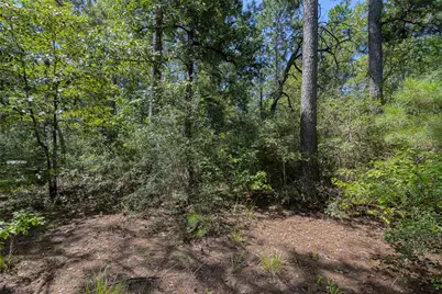 26095 Crown Ranch Boulevard, Montgomery, TX 77316 - Photo 7