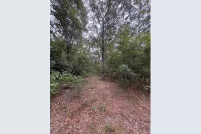 27418 Coral Road, Splendora, TX 77372 - Photo 7