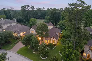 22 E Double Green Cir, The Woodlands, TX 77382 - Photo 49