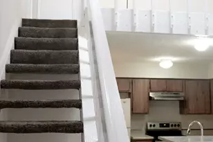 11881 Bob White Dr, Houston, TX 77035 - Photo 3