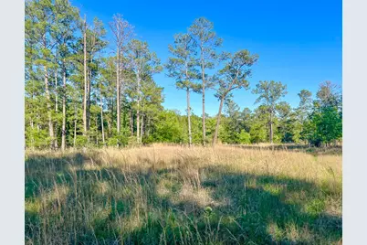 38 Fm 3454, Huntsville, TX 77320 - Photo 11