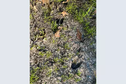 38 Fm 3454, Huntsville, TX 77320 - Photo 13