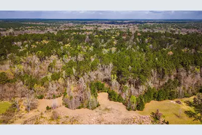 160 Triple Creek Drive, Livingston, TX 77351 - Photo 39