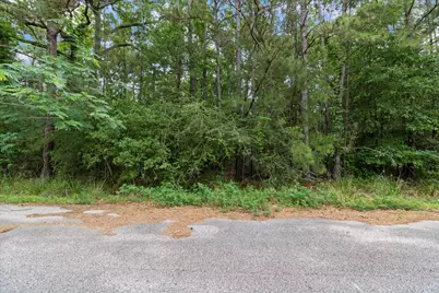 3527 Magnolia Drive, Houston, TX 77365 - Photo 11