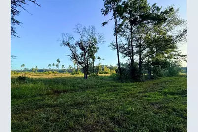 000 Fm 1003, Kountze, TX 77625 - Photo 1
