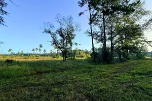 000 Fm 1003, Kountze, TX 77625 - Photo 1