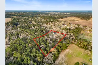 301 Pineland Drive, Trinity, TX 75862 - Photo 33