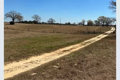 0 County Road 2235, Grapeland, TX 75844 - Photo 9