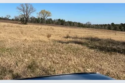 0 County Road 2235, Grapeland, TX 75844 - Photo 7