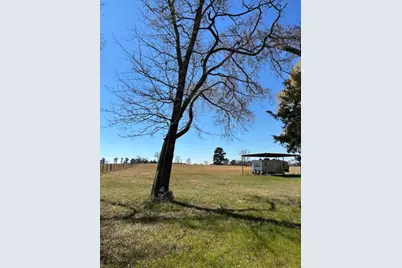 0 County Road 2235, Grapeland, TX 75844 - Photo 3